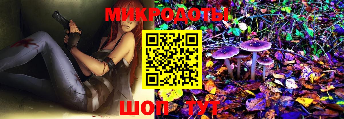 Псилоцибиновые грибы MAGIC MUSHROOMS  Вход с VPN  магазин продажи   Пугачёв  Псилоцибиновые грибы мухоморы 